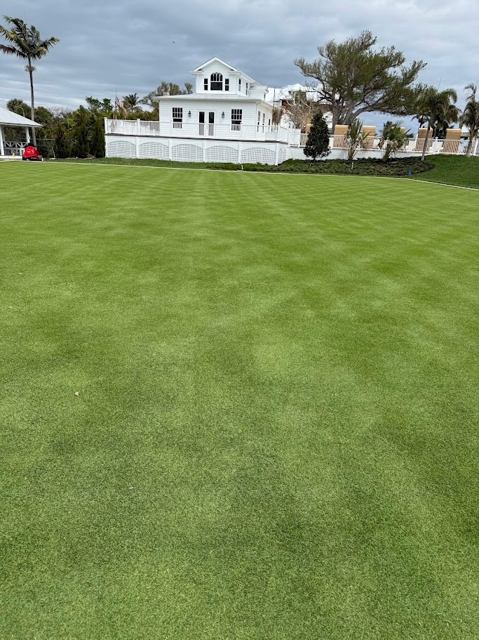 Durban Seashore Paspalum finished turf at Useppa