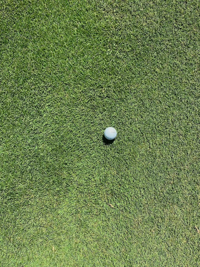 Gateway Zoysiagrass finished turf with golf ball