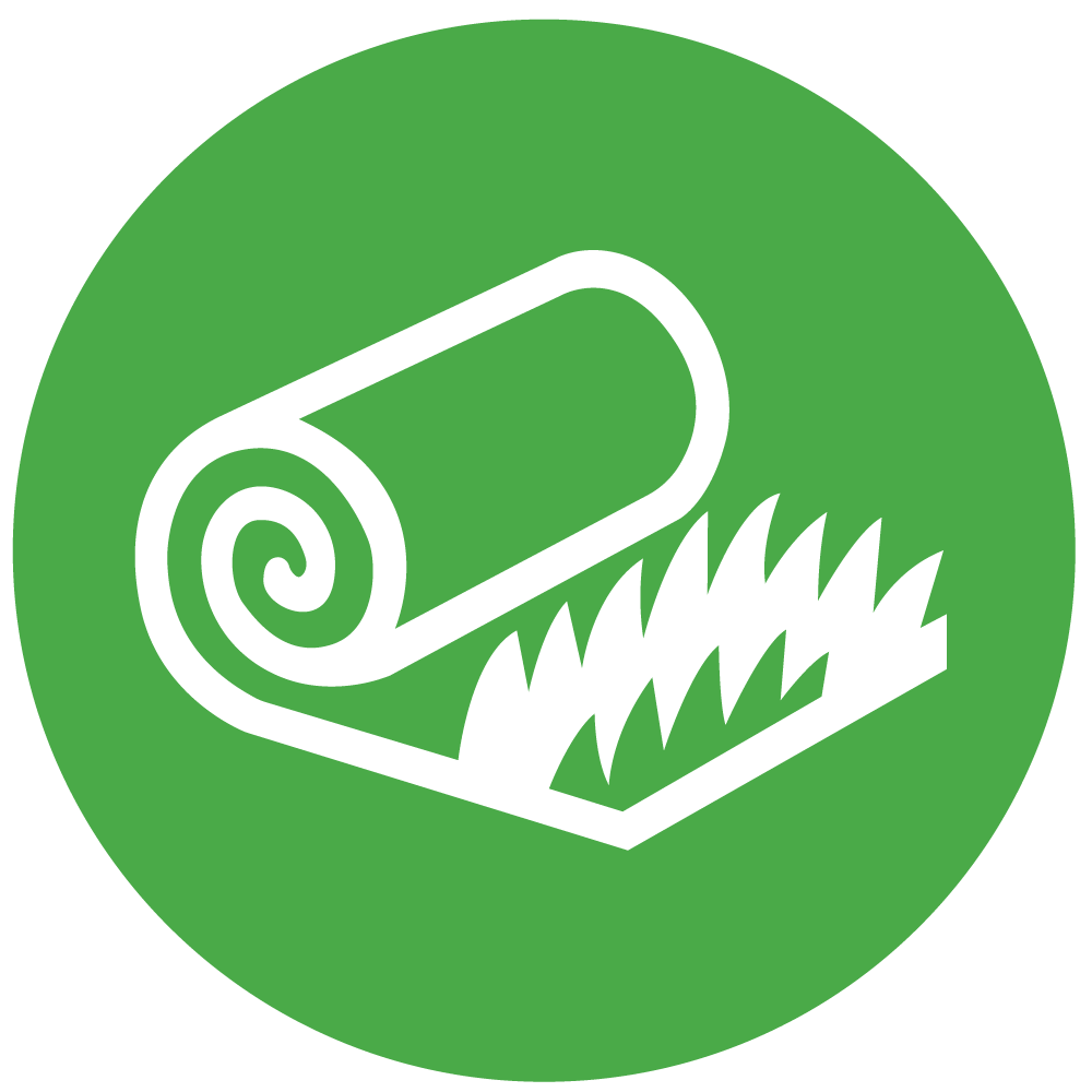 Sprig-to-Sod Rapid Establishment