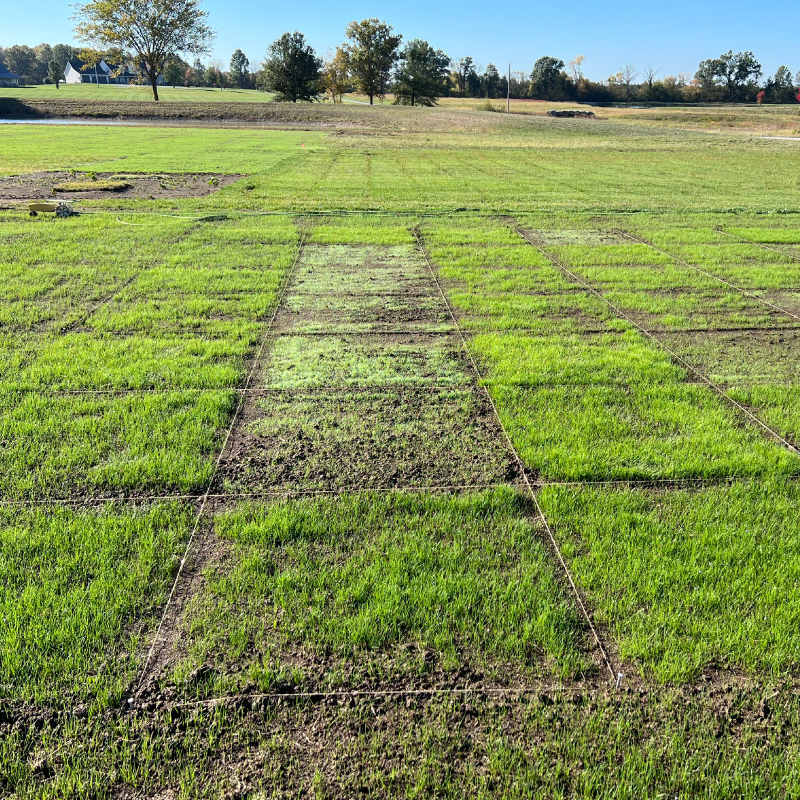 Seeding trial field