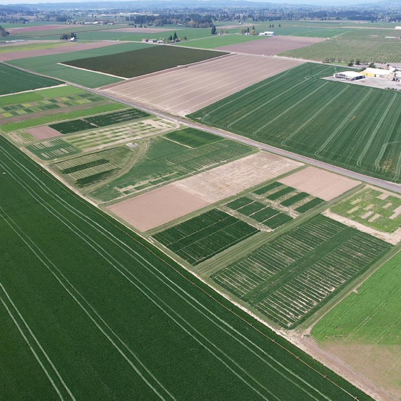Turf research plots